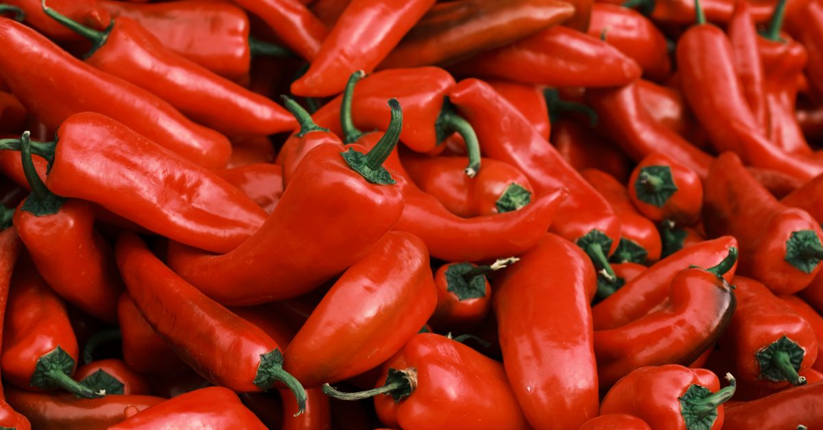 A close-up of fresh, vibrant red chili peppers piled together, highlighting their organic texture and color.